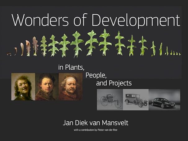 Cover Wonders of Development (EN)