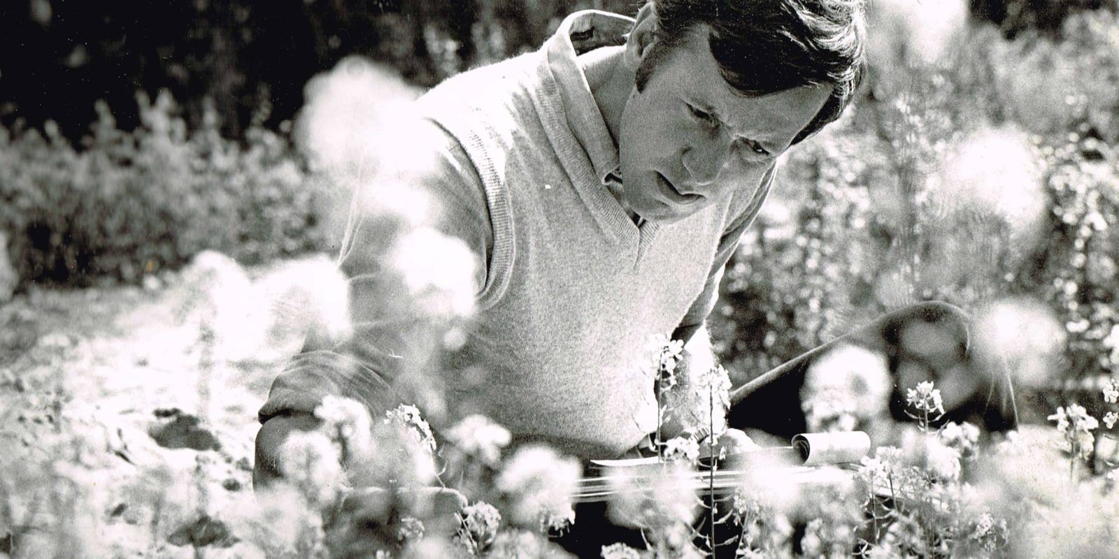 Jan Diek van Mansvelt in de tuin, 1981