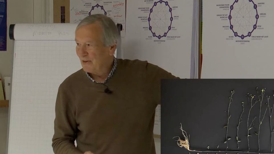 Videovoorvertoning van Jan Diek van Mansvelt over Wonderen van ontwikkeling